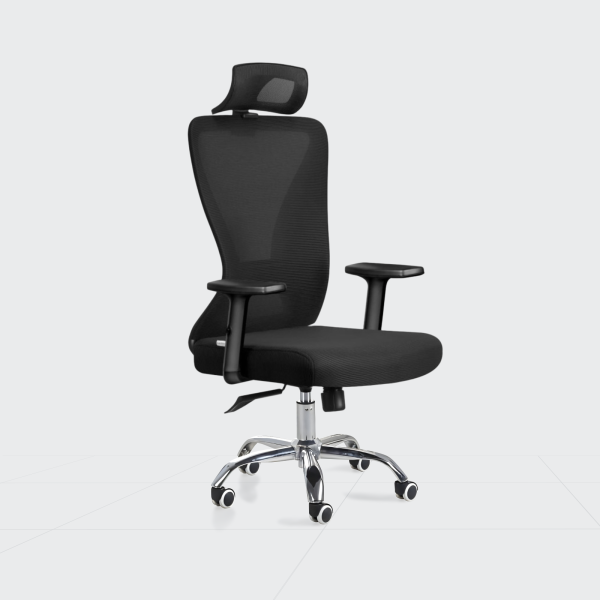 ADF Chief Executive Chair 21-009