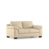 SoftNest Two-Seater PU Lather Sofa