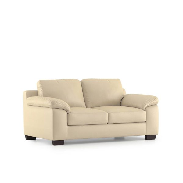 SoftNest Two-Seater PU Lather Sofa